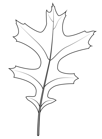 Pin Oak Leaf Coloring Page